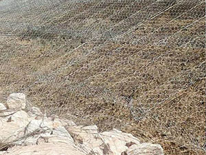 沧州市高尔凡雷诺护垫