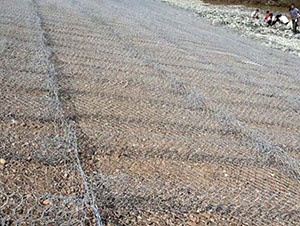 沧州市雷诺护坡